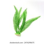 9ubrqmdr