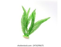 9ubrqmdr